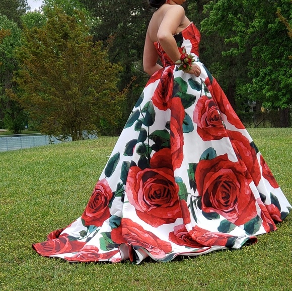 Prom Dress - Picture 3 of 3